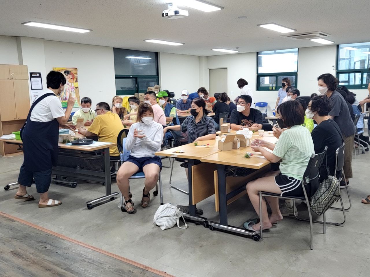 2022/08/09(화) - 원예 (공중식물 이오난사)