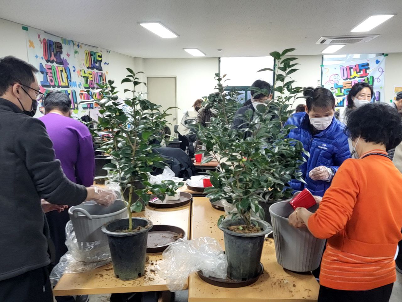 2022/12/09(금) - 원예(동백나무)
