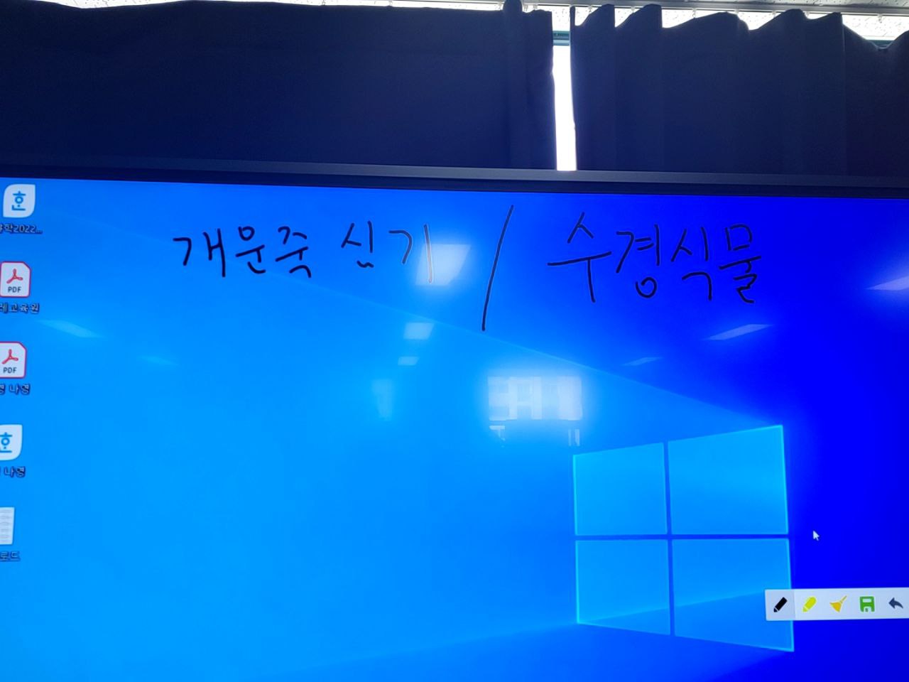 2022/08/16(화) - 개운죽 심기