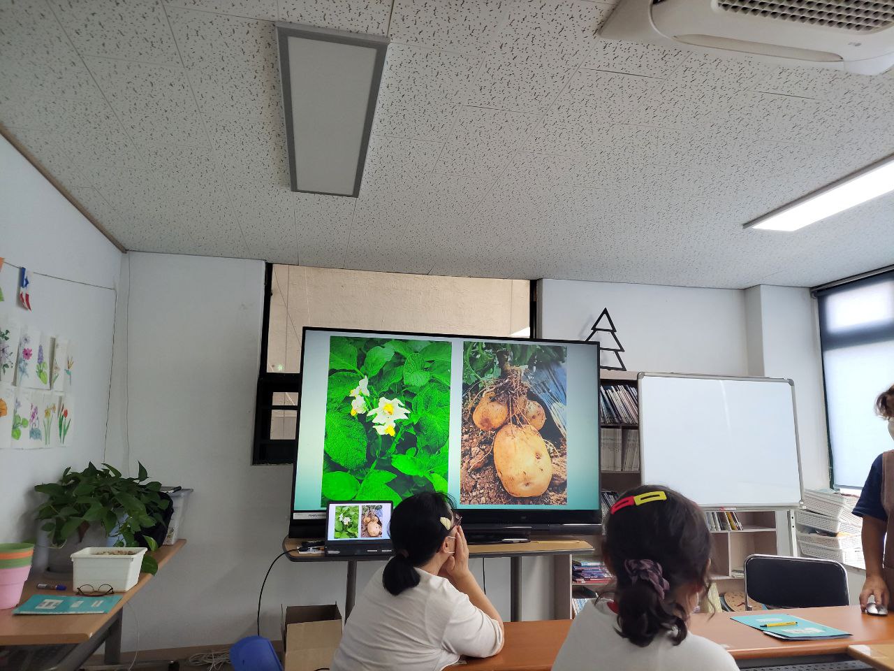 2022/06/10(금) - 슬기로운 텃밭생활