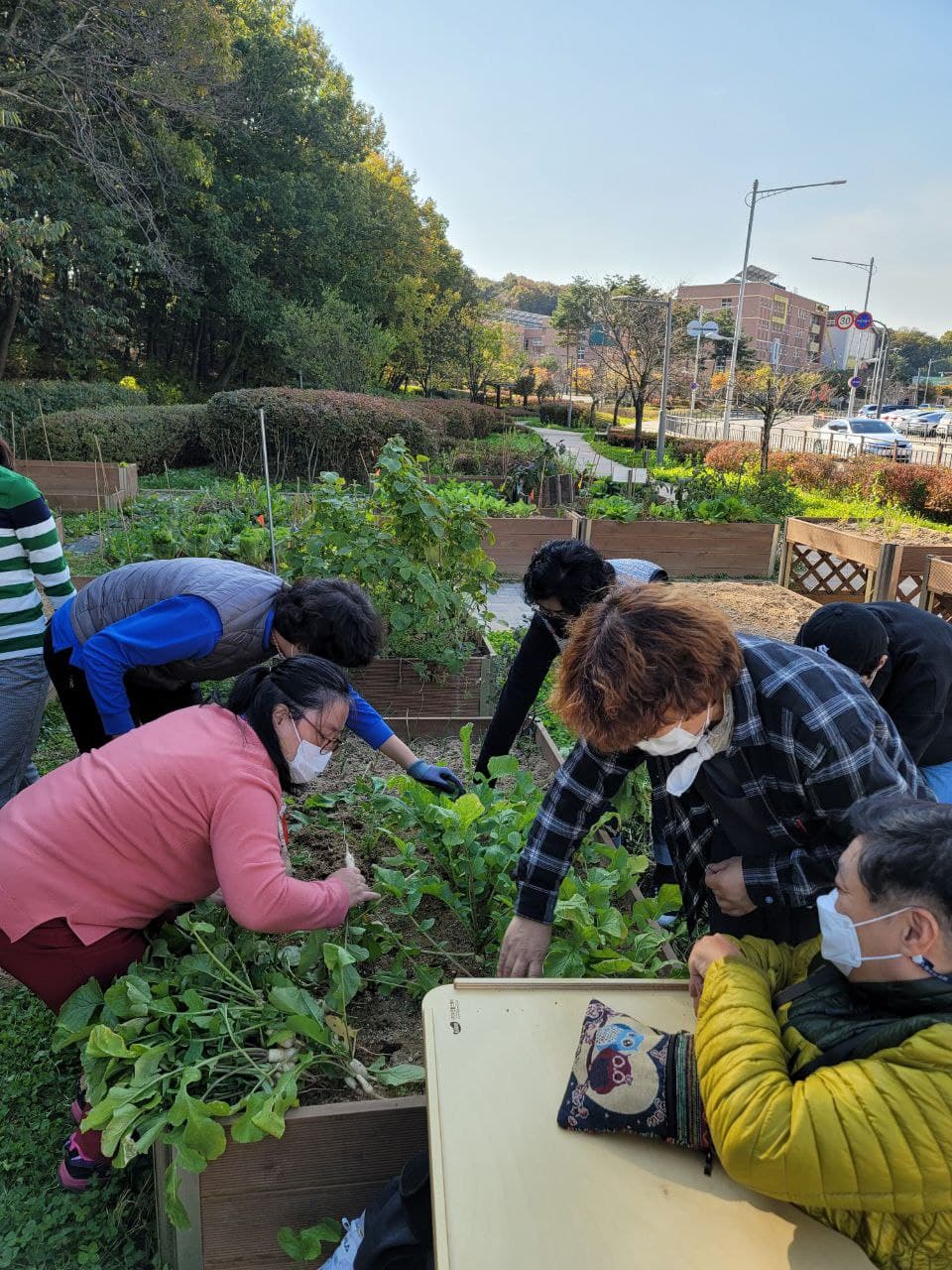 2021년 10월 29일_자립생활교육