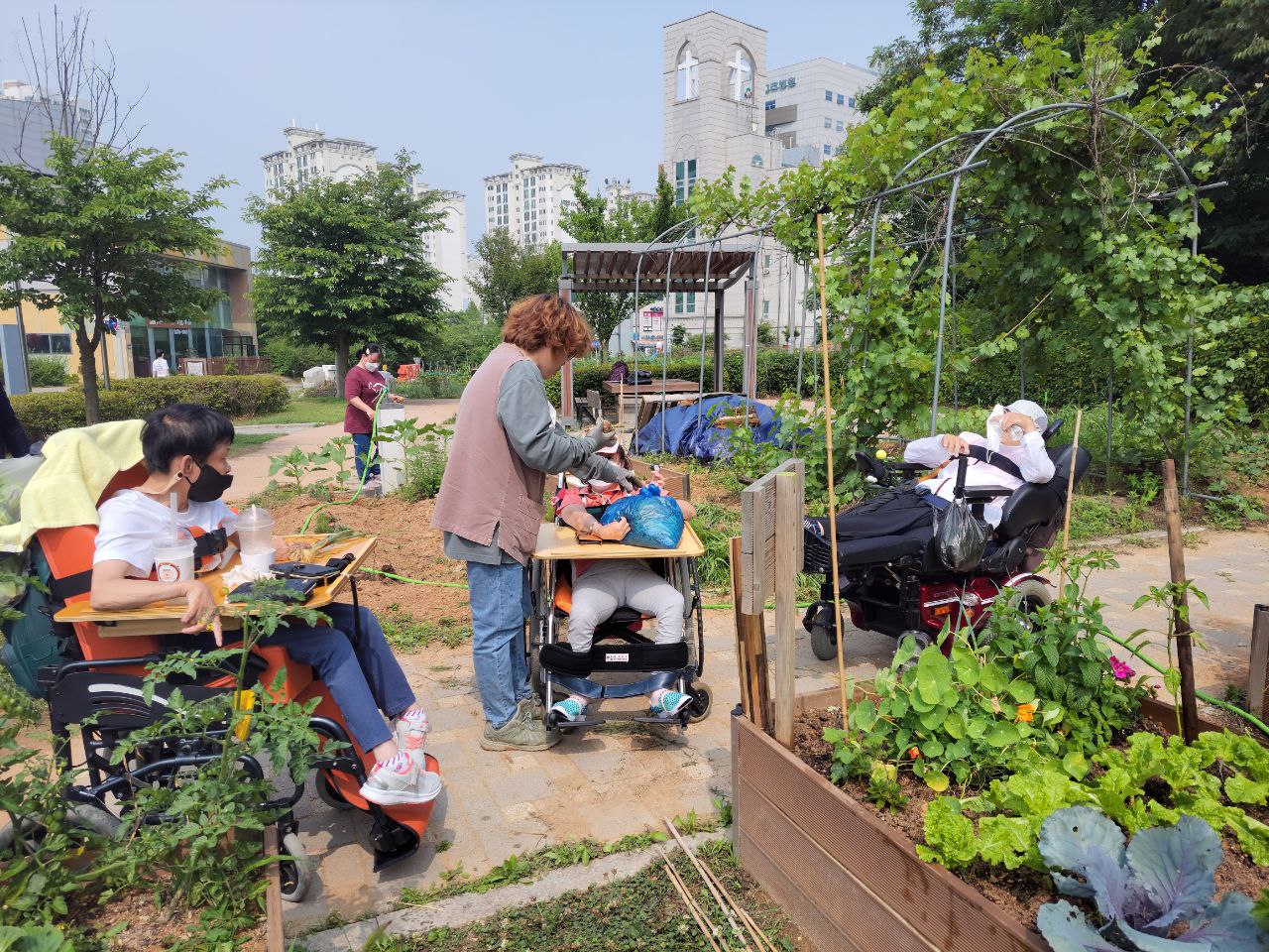 2022/06/17(금) - 슬기로운 텃밭생활