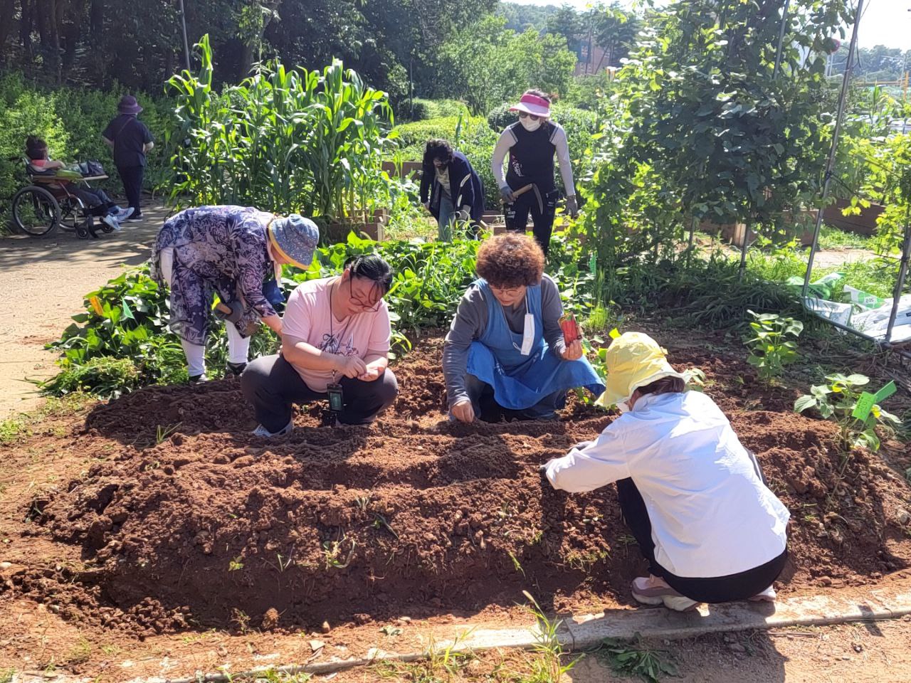 2022/07/15(금) - 슬기로운 텃밭생활
