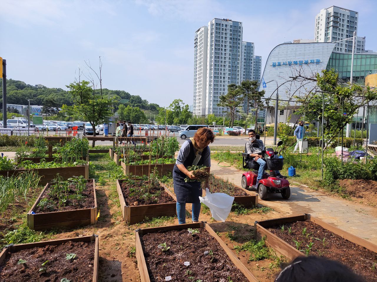 2022/05/20(금) - 슬기로운 텃밭생활