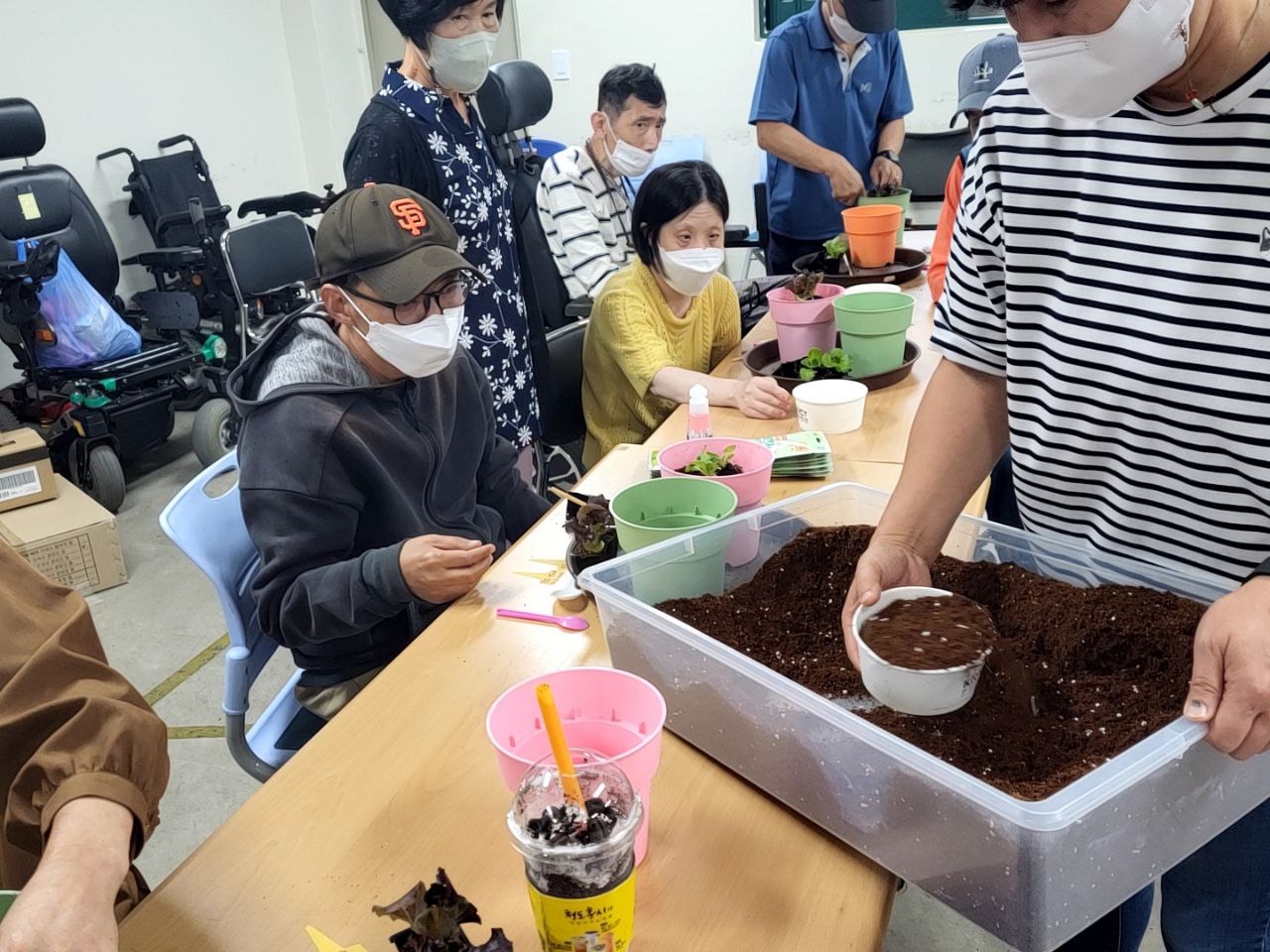 2022/09/13(화) - 원예(아삭이상추, 유럽상추 심기)
