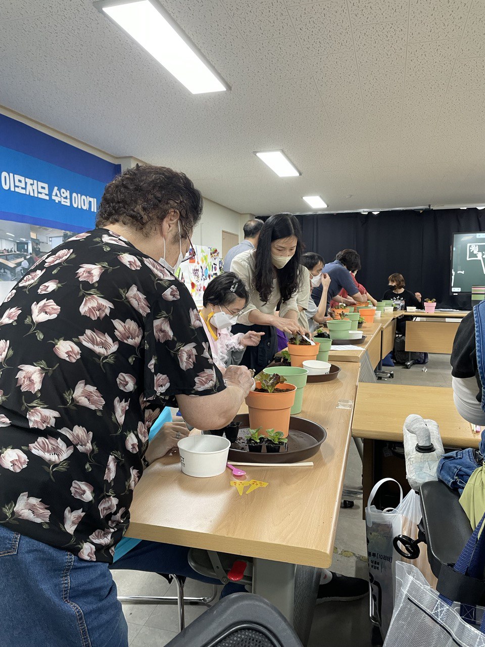 2022/09/13(화) - 원예(아삭이상추, 유럽상추 심기)