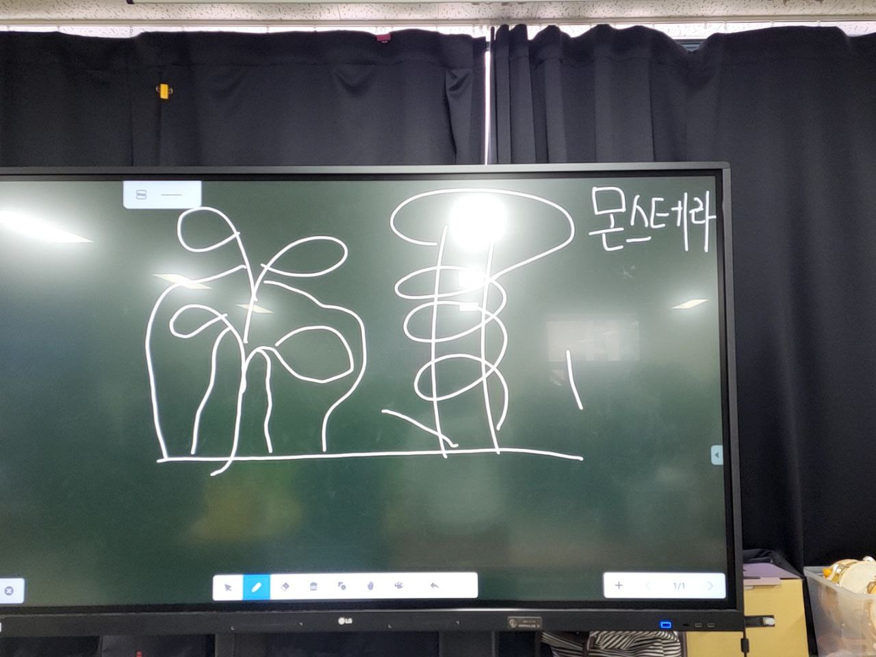 2022/11/29(화) - 원예(몬스테라)