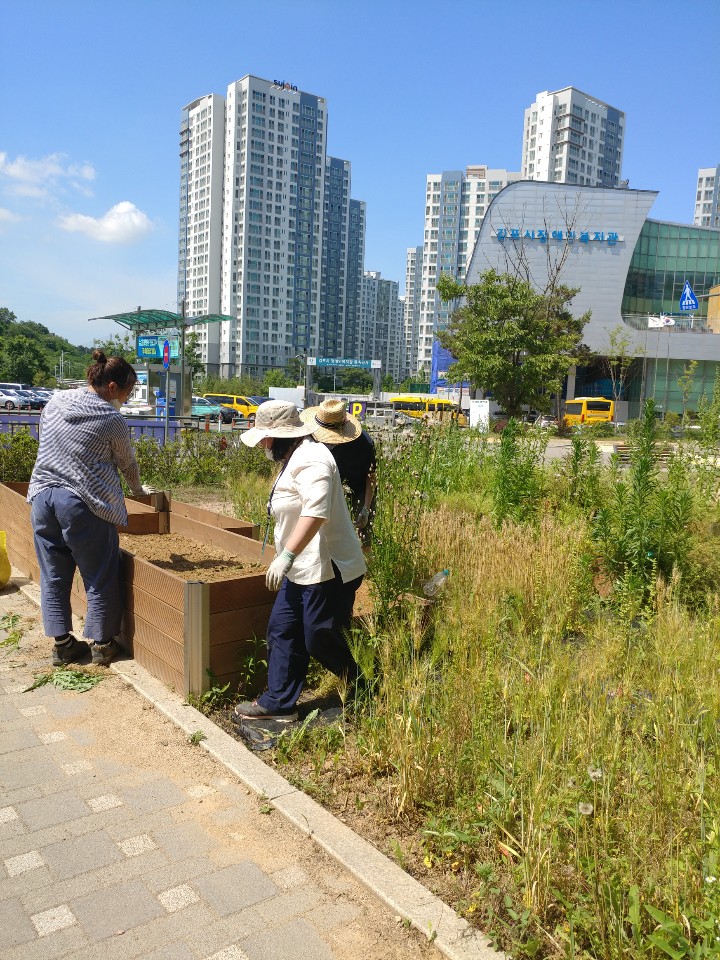 2020년 6얼 11일_자립생활교육 수업